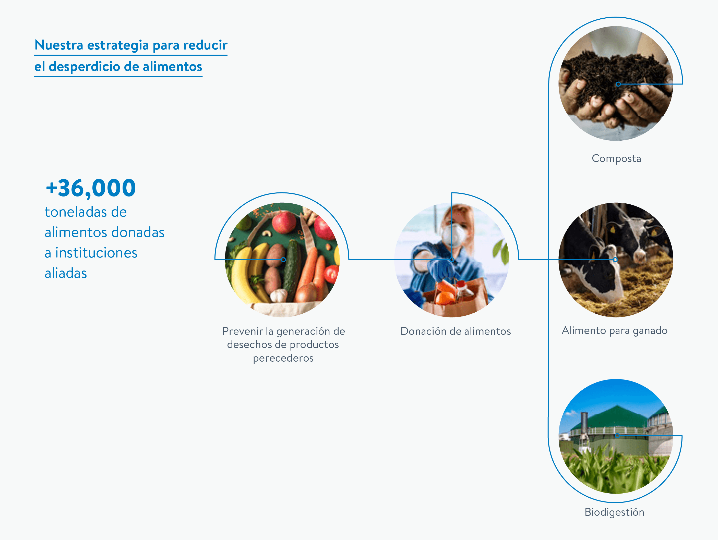 RESIDUOS DE ALIMENTOS