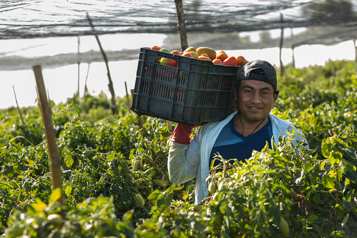 Fundación Walmart de México lanza su Convocatoria de Proyectos Monetarios 2019