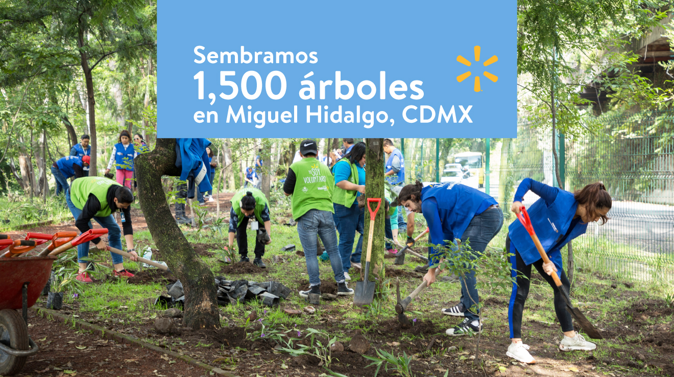 Walmart de México y Centroamérica participó en #RetoVerde para contribuir en la reforestación del país 1Walmart de México y Centroamérica participó en #RetoVerde para contribuir en la reforestación del país 1